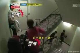 RM 开门遇老虎视频封面