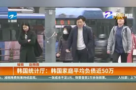 韩国统计厅：韩国家庭平均负债近50万，还向往韩国生活吗视频封面