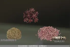 泉州博物馆：蒲寿庚一个外国商人，他为何能成为泉州的“土皇帝”