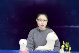 3月上旬后，旧爱悔悟回头倾诉，哪3个星座会义无反顾相爱如故视频封面