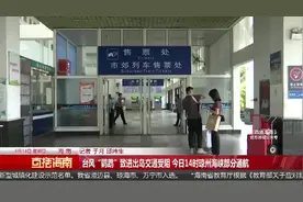 台风“鹦鹉”致进出岛交通受阻 今日14时琼州海峡部分通航