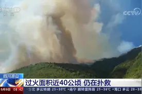 四川凉山 过火面积近40公顷 仍在扑救视频封面