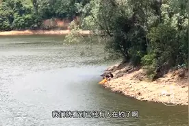 东莞同沙水库也可以钓鱼？不告诉你怎么走，你还真找不到钓鱼位置视频封面