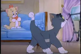 猫和老鼠：可爱的猫女孩，家里来了个美丽的女猫咪，汤姆浪漫追爱视频封面