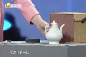华山论鉴：罕见的甜白釉瓷壶，专家大赞名窑烧造，藏友激动坏了视频封面