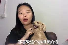 玲玲领养的小泰迪名字太难记，就给小泰迪改名字，大家觉得怎么样视频封面