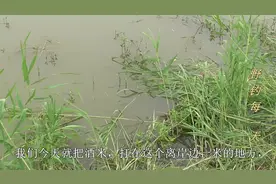 钓鱼过程中遇到龙虾闹窝，只需改变一下方法，依然可以连杆上鱼视频封面