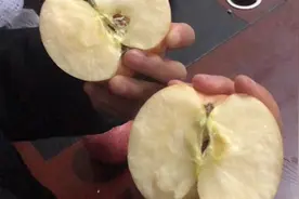 教你徒手掰开苹果，只需5秒，男生们在女友面前展现的机会到了！视频封面