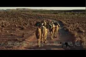 《沙漠骆驼》自制MV - 希望你们能够喜欢，谢谢观看！