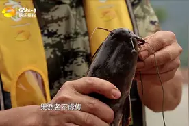 铃铛一响“渔获万两”，这种特殊工具只要鱼咬钩就跑不掉！视频封面