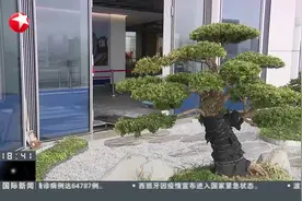 上海：新开发银行总部大楼雏形初现，“空中花园”有特色视频封面