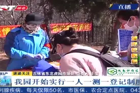 在家憋得难受？快来长春东北虎园，门票调整为30元！视频封面