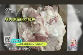 生活圈：猪肉上长痘痘，真是“痘猪肉”？专家解答，购买时要注意