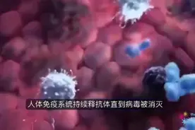 3D动画演示病毒的入侵和人体的反击，整个过程堪称战争大片！视频封面