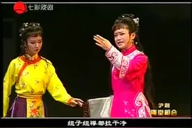 【上海 沪剧】传统同场戏《庵堂相会》钱莹、王森视频封面