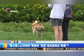 “携犬禁入公共场所”再重申“老调”是否能弹出“新曲”？