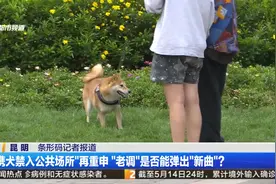 “携犬禁入公共场所”再重申“老调”是否能弹出“新曲”？