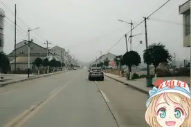 走进桃源双溪口镇，湖南省生态农业示范区，出产牛羊享誉省内外。视频封面