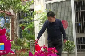 解锁“美丽乡村”正确打开方式！枣庄农家院儿也有小清新视频封面