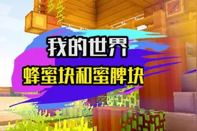 【Wow妹的游戏日常】我的世界蜂蜜块和蜜脾块