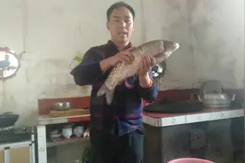 10斤重的大草鱼，老平用最简单的料，做最鲜美的腊鱼干