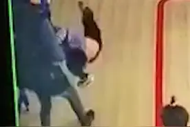 愤怒！河北一培训学校教师过肩摔幼童图片