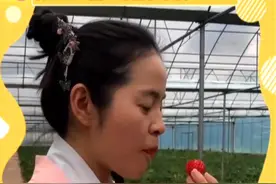 来摘草莓！四川达州美女第一书记穿着汉服来了视频封面