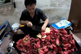 老青年捡了一袋木棉花，有清热祛湿功效，正在处理，晒干煲汤很靓视频封面