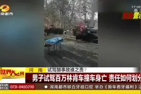男子试驾百万林肯车撞车身亡，责任如何划分？视频封面