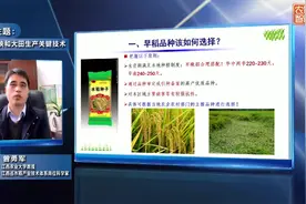 早稻品种该如何选择？4个原则，一定要注意视频封面