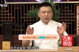 专家现场教您小妙招，轻松识别真假三七视频封面