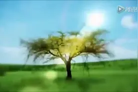 萨克斯《多么美好的世界》