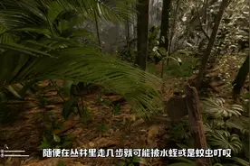 我在热带雨林烧烤昆虫求生 这款生存游戏确实太过逼真