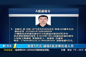 悬赏5万，欢迎举报！吉林省发布A级通缉令，公开通缉6名涉黑逃犯视频封面