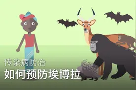 如何预防埃博拉视频封面
