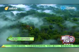 云旅游 云游海南——琼中百花岭雨林文化旅游区视频封面