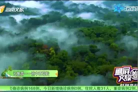 云旅游 云游海南——琼中百花岭雨林文化旅游区视频封面
