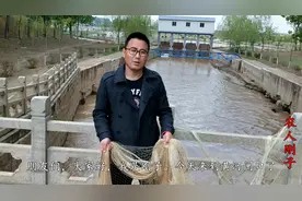 黄河闸口开始放水，刚子来打鱼，撒网技术越练越好视频封面