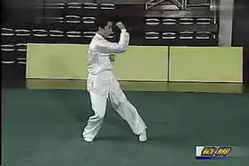 精武课堂——中华武林隗宝戳脚拳（九转连环鸳鸯腿）教学 孙民杰视频封面