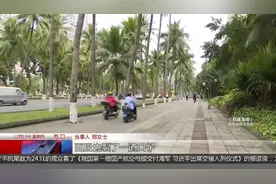 海南：椰子掉落砸中人，加强管理除隐患