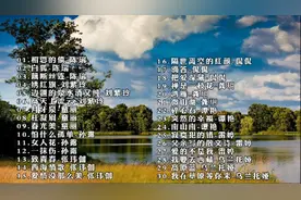 十大发烧女声歌曲精选，纯美天籁