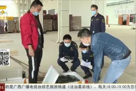 东兴海关二桥验货场项目竣工并正式启用，助推企业全面复工复产视频封面