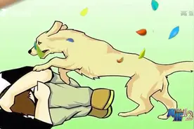 真相123：人与恶犬发生冲突时，如何快速制服它们呢？快来学习下视频封面