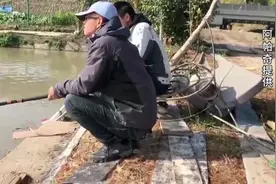 鱼资渔味：现在的青鱼越来越挑剔了，真饵它不吃，反倒吃假饵视频封面
