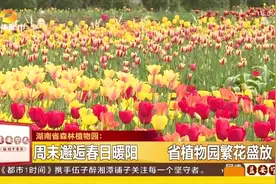 湖南省森林植物园繁花盛放，市民可提前预约，测体温戴口罩入内视频封面
