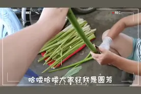 芋头吃过，没想到芋头的茎杆在炎炎夏日也是一道美味脆口的下饭菜