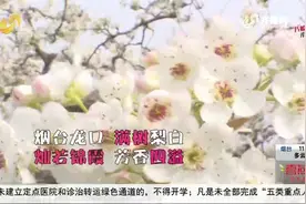 共赴春日之约！花开正好春意浓，带你云赏齐鲁大地的各色花海视频封面