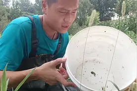 农村小伙河里下地笼，东西没捞到地笼丢完，实名最惨视频封面