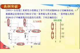 DNA分子的结构视频封面