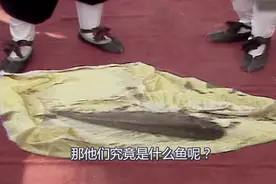 西游记：奔波儿灞和灞波儿奔是哪种鱼？你看原著中孙悟空说过啥！视频封面